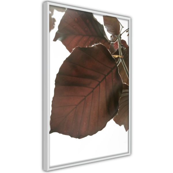 Apportez une nouvelle douche déco avec le Poster et affiche - Burgundy Tilia Leaf