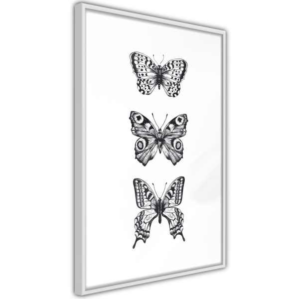 Apportez une nouvelle douche déco avec le Poster et affiche - Butterfly Collection III