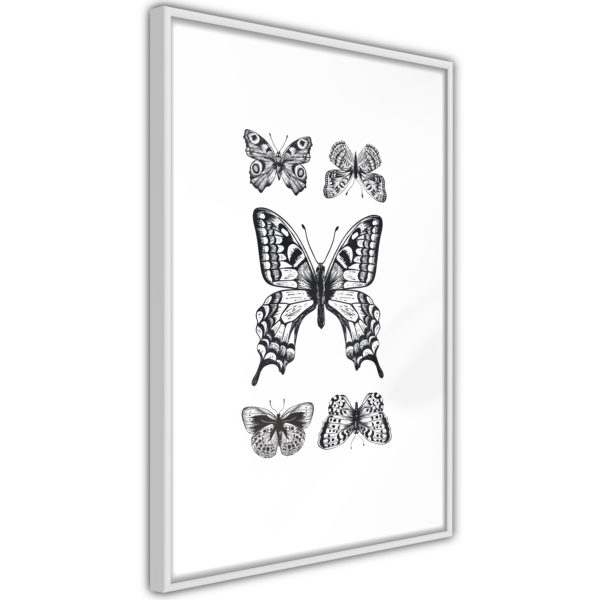 Apportez une nouvelle douche déco avec le Poster et affiche - Butterfly Collection IV