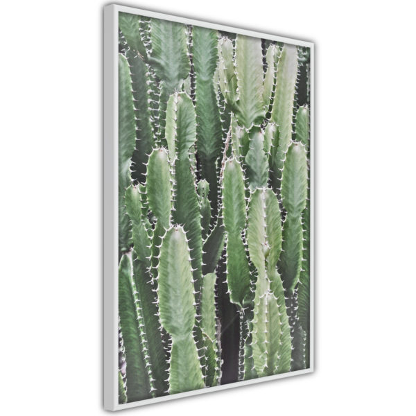Apportez une nouvelle douche déco avec le Poster et affiche - Cactus Plantation