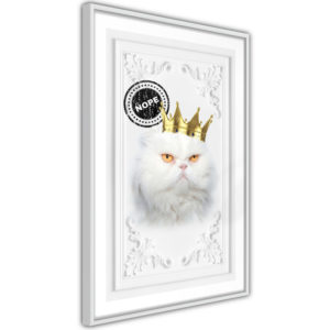 Apportez une nouvelle douche déco avec le Poster et affiche - Cat Rules II