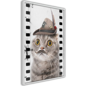 Apportez une nouvelle douche déco avec le Poster et affiche - Dressed Up Cat