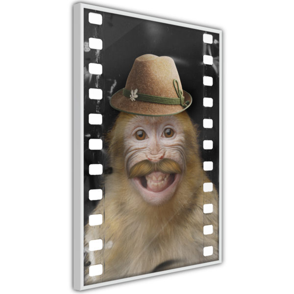 Apportez une nouvelle douche déco avec le Poster et affiche - Dressed Up Monkey
