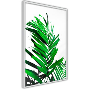 Apportez une nouvelle douche déco avec le Poster et affiche - Emerald Palm