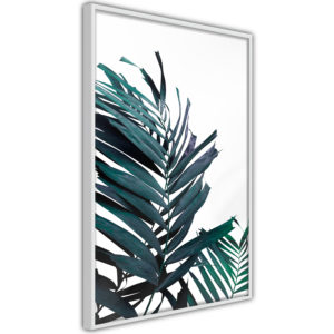 Apportez une nouvelle douche déco avec le Poster et affiche - Evergreen Palm Leaves