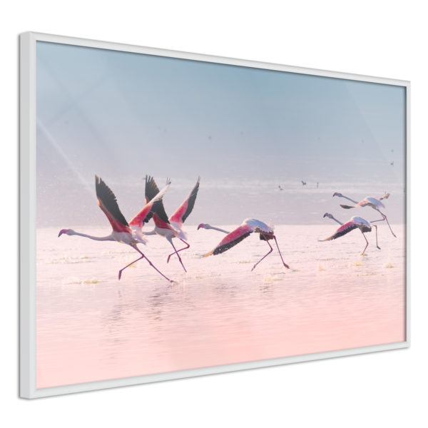 Apportez une nouvelle douche déco avec le Poster et affiche - Flamingos Breaking into a Flight