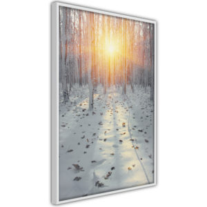 Apportez une nouvelle douche déco avec le Poster et affiche - Frosty Sunset