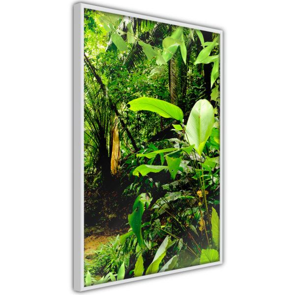 Apportez une nouvelle douche déco avec le Poster et affiche - In the Rainforest