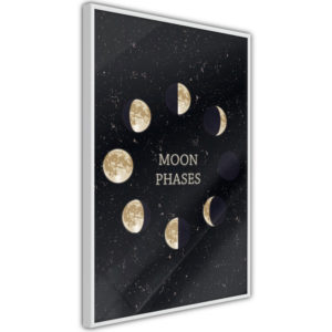 Apportez une nouvelle douche déco avec le Poster et affiche - In the Rhythm of the Moon