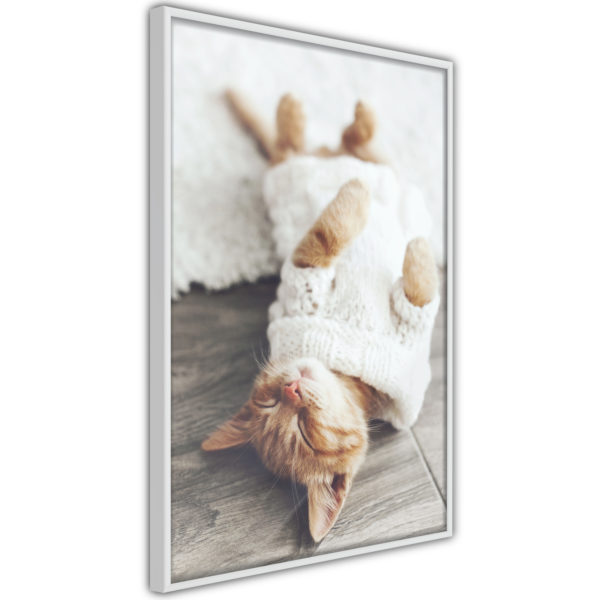 Apportez une nouvelle douche déco avec le Poster et affiche - Kitten Life