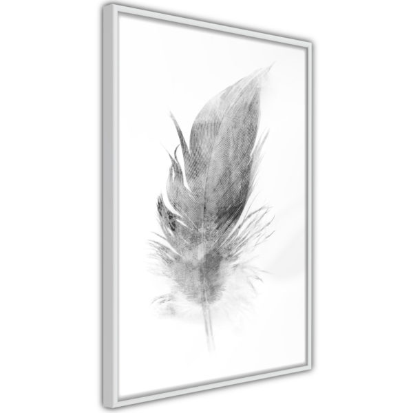 Apportez une nouvelle douche déco avec le Poster et affiche - Lost Feather (Grey)