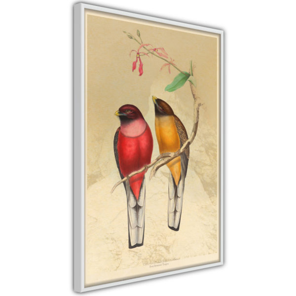 Apportez une nouvelle douche déco avec le Poster et affiche - Ornithologist's Drawings