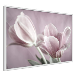 Apportez une nouvelle douche déco avec le Poster et affiche - Pastel Tulips I