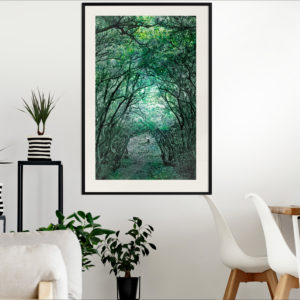 Posters Nature & Paysages
