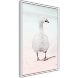 Apportez une nouvelle douche déco avec le Poster et affiche - Walking Goose