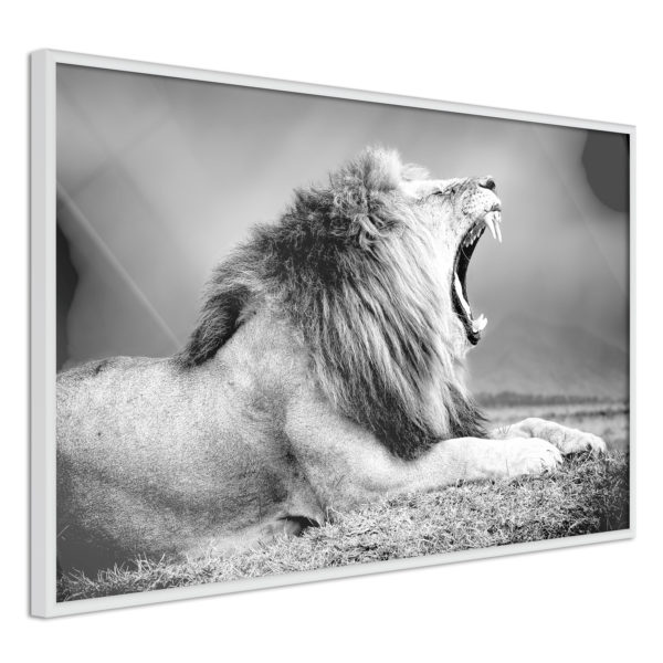 Apportez une nouvelle douche déco avec le Poster et affiche - Yawning Lion