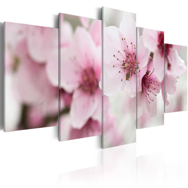 Tableau décoratif : Cerisier - beautÃ© et douceur en hq