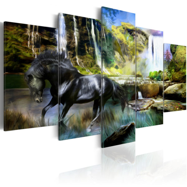 Tableau décoratif : Cheval noir sur fond de Cascade Paradis en hq