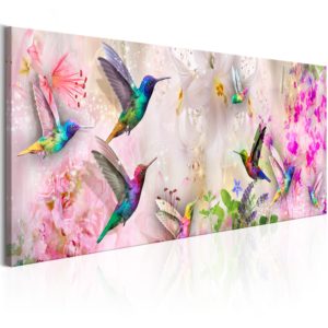 Tableau décoratif : Colourful Hummingbirds (1 Part) Narrow en hq