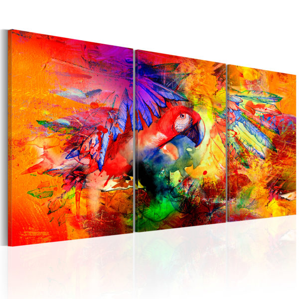 Tableau décoratif : Colourful Parrot en hq