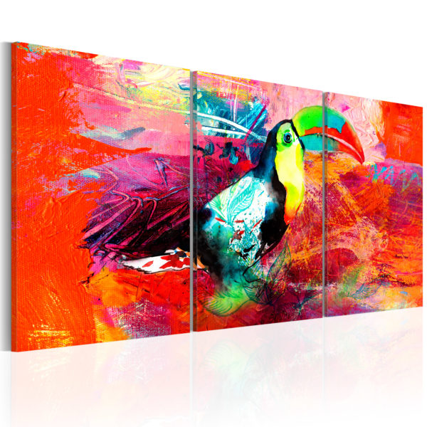 Tableau décoratif : Colourful Toucan en hq