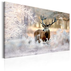Tableau décoratif : Deer in the Cold en hq