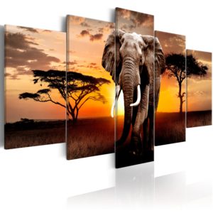 Tableau décoratif : Elephant Migration en hq