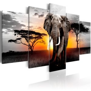 Tableau décoratif : Elephant at Sunset en hq