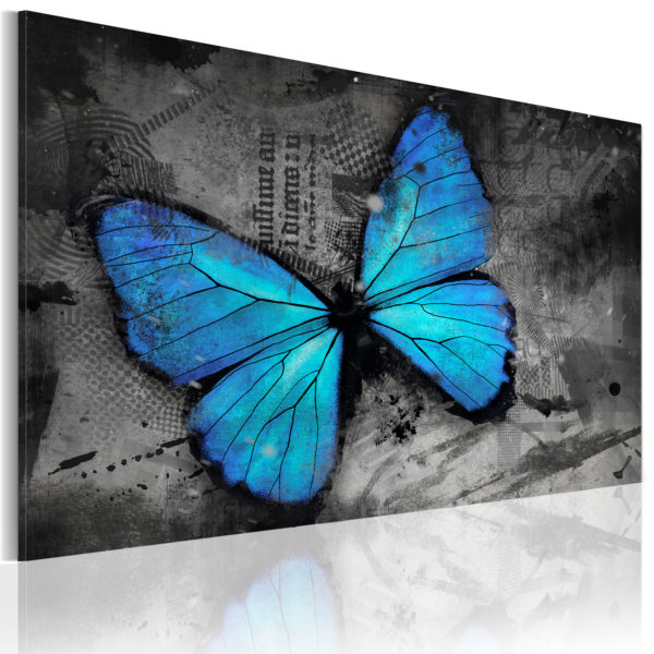 Tableau décoratif : Etude d'un papillon en hq