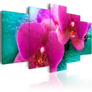 Tableau décoratif : Exotic orchids en hq