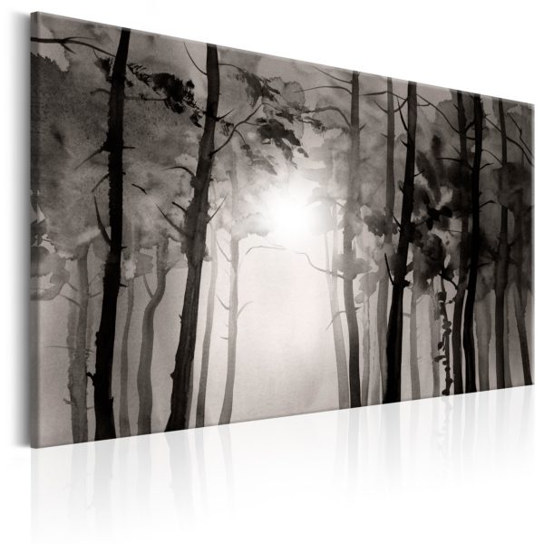 Tableau décoratif : Foggy Forest en hq