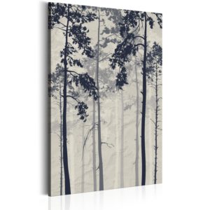 Tableau décoratif : Forest In Fog en hq