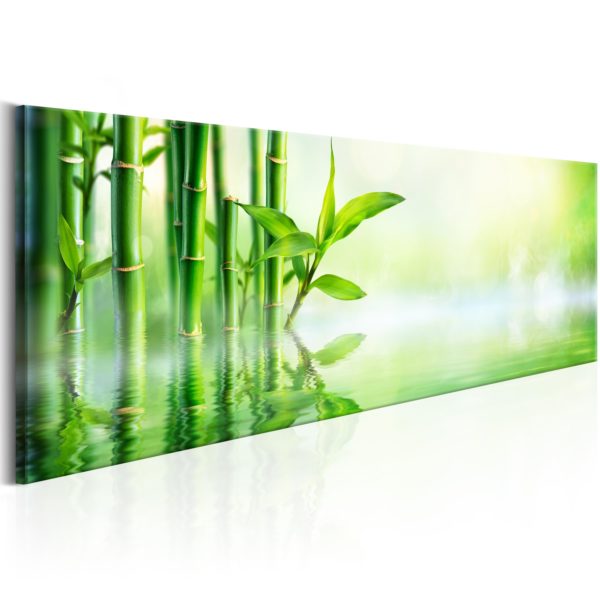 Tableau décoratif : Green Bamboo en hq