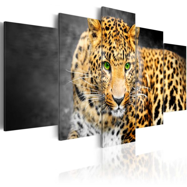 Tableau décoratif : Green-eyed leopard en hq