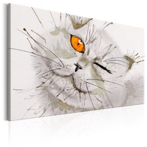 Tableau décoratif : Grey Cat en hq