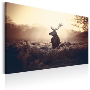 Tableau décoratif : Lurking Deer en hq