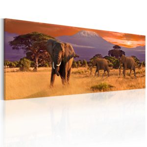 Tableau décoratif : March of african elephants en hq