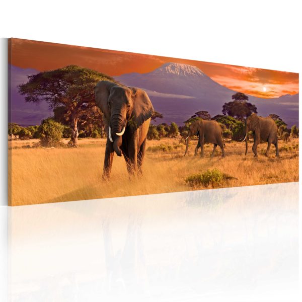Tableau décoratif : March of african elephants en hq