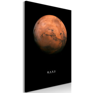 Tableau décoratif : Mars (1 Part) Vertical en hq
