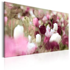 Tableau décoratif : Meadow of Tulips en hq
