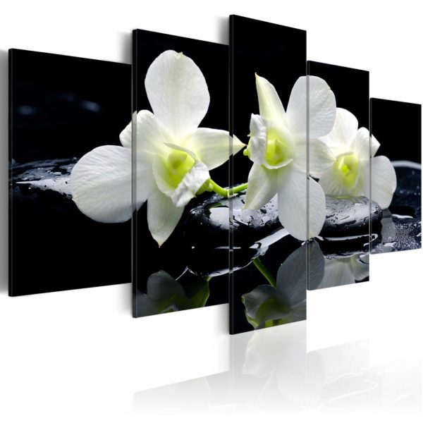 Tableau décoratif : Melancholic orchids en hq