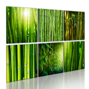 Tableau décoratif : Nombreux visages du bambou en hq