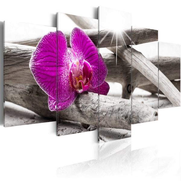 Tableau décoratif : Orchid on beach en hq