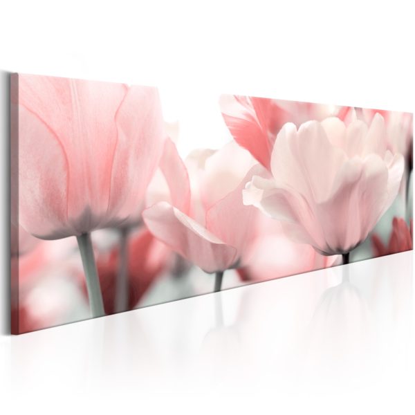 Tableau décoratif : Pink Tulips en hq