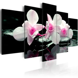Tableau décoratif : Rest of orchids en hq