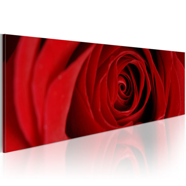 Tableau décoratif : Rose du Nord en hq