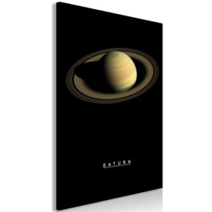 Tableau décoratif : Saturn (1 Part) Vertical en hq
