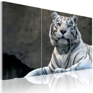 Tableau décoratif : Tigre blanc en hq