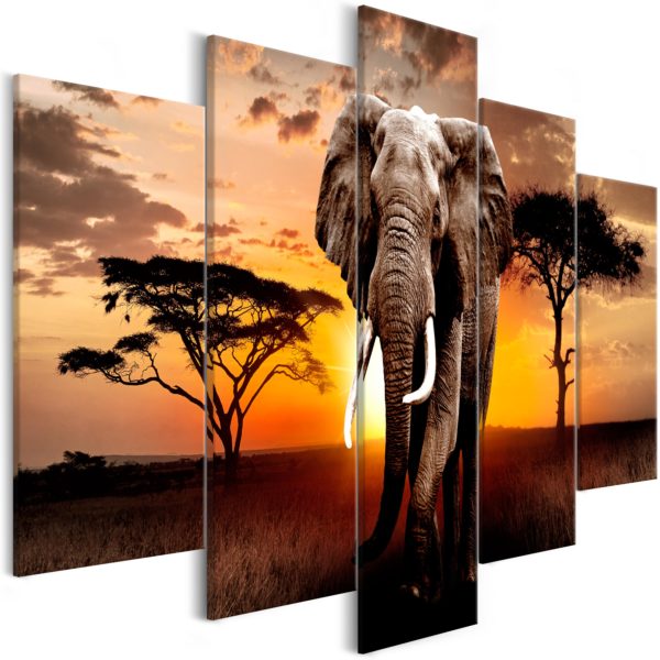 Tableau décoratif : Wandering Elephant (5 Parts) Wide en hq