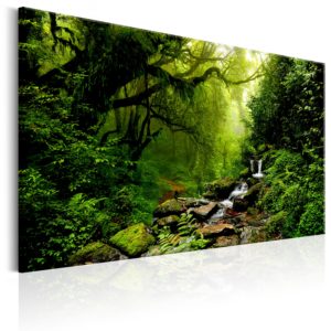 Tableau décoratif : Waterfall in the Forest en hq